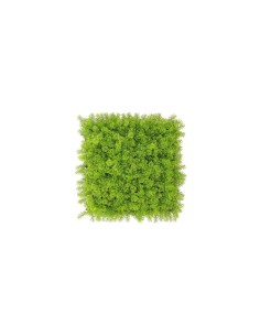 SIEPE ARTIFICIALE 50X50 MUSCHIO CHIARO