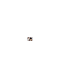 Forno Pizza Ariete 927 Doppio 2300W | TreG Ingrosso 2