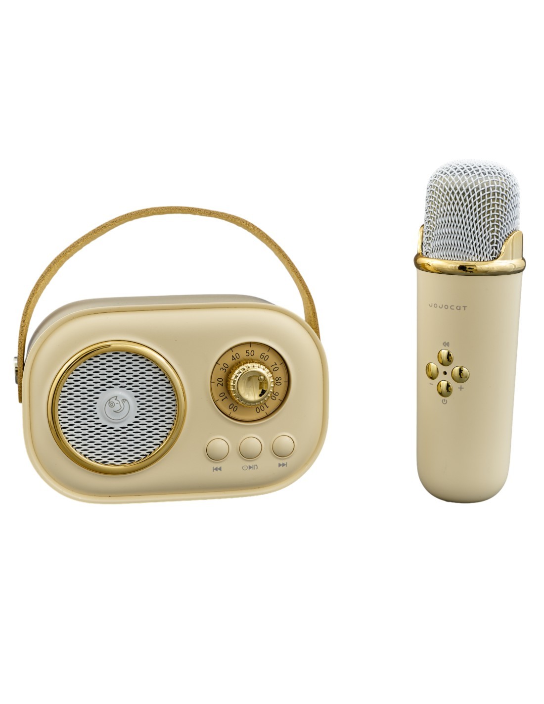 CASSA KARAOKE VINTAGE PANNA CON MICROFONO