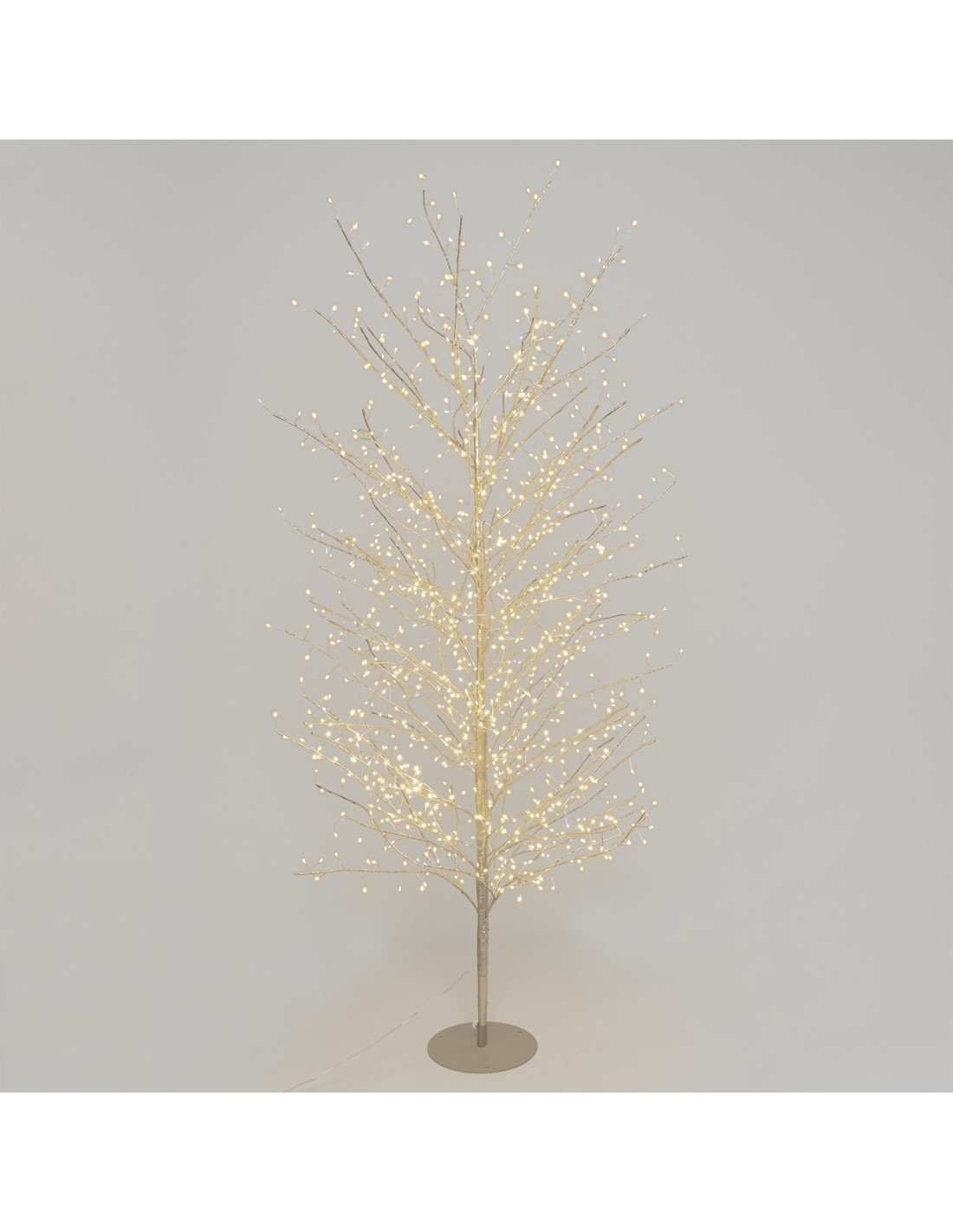 Albero Ramo Tiglio Champagne 200cm con 1120 MicroLED FlashLED
