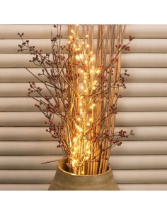 Luci di Natale Catena MiniCluster 60 MicroLED per Interno, La Magia di Natale Portatile