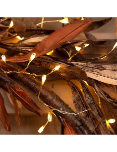 Luci di Natale Catena MiniCluster 150 MicroLED per Interno, La Magia di Natale Portatile