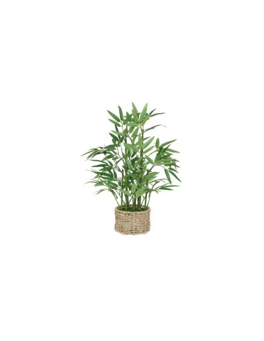 PIANTA 204209 BAMBOO 32X46CM VASO NATURALE