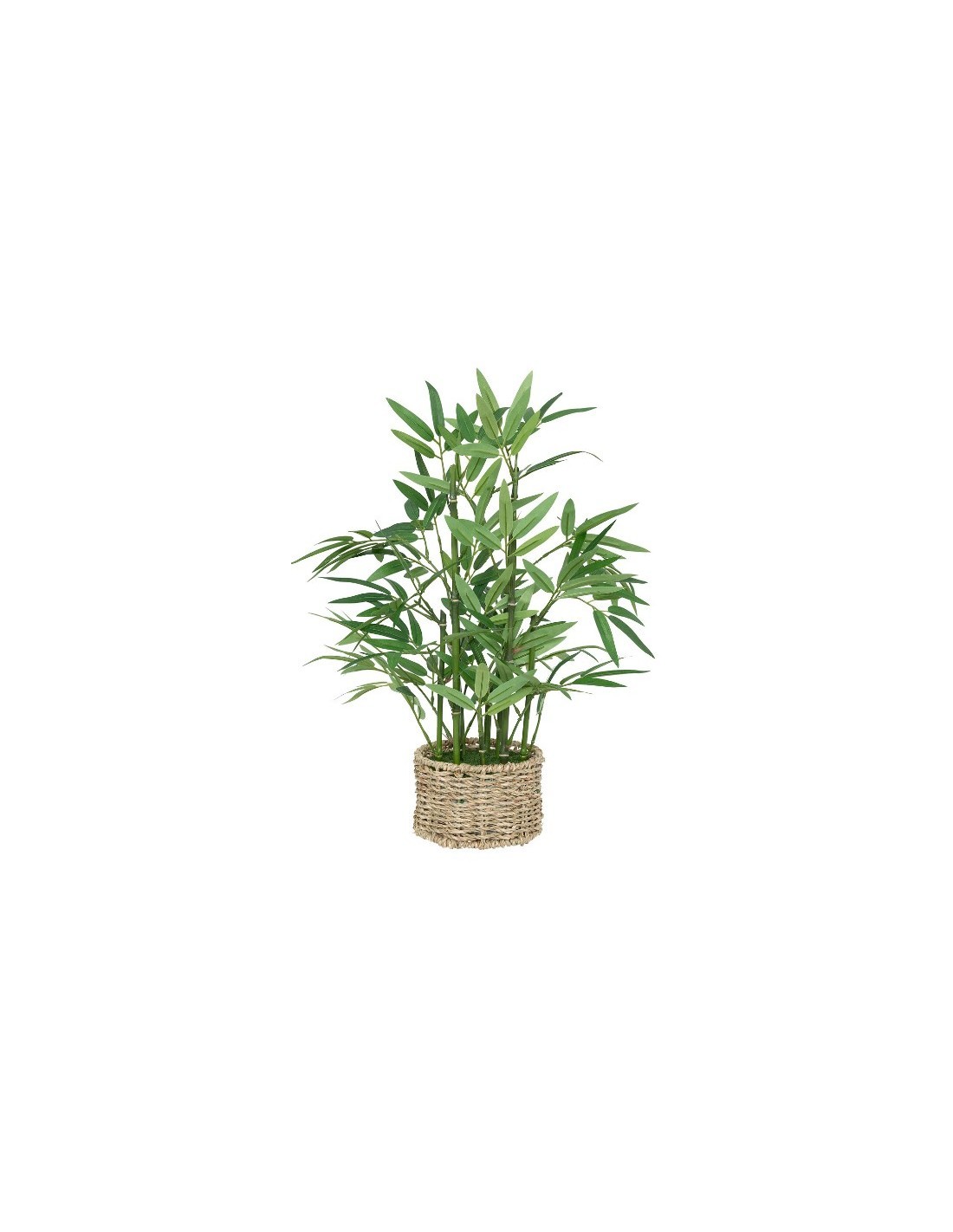 PIANTA 204209 BAMBOO 32X46CM VASO NATURALE