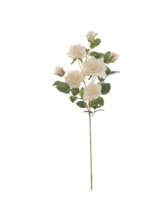 STELO 6907-01 7 ROSITAS ALICE CREMA