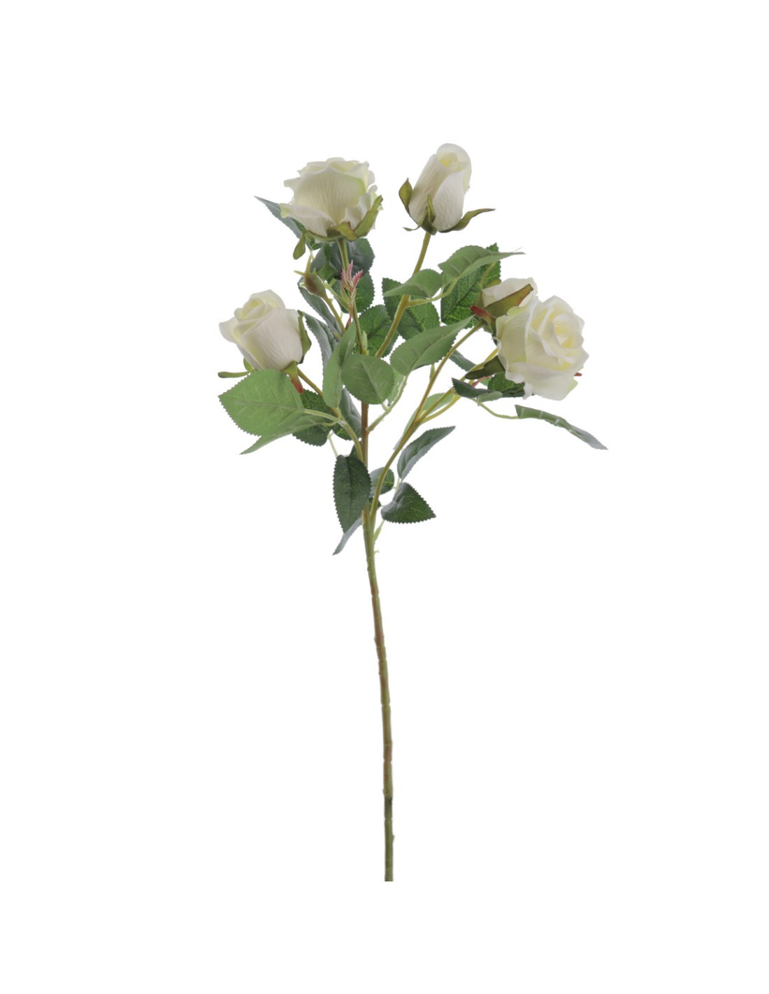 STELO 6912-01 5 BOCCIOLI DI ROSA CREMA