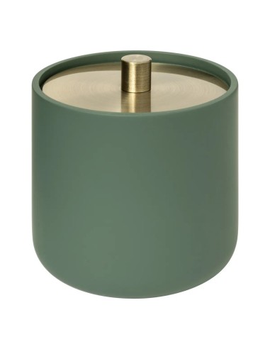 Barattolo Cotton Fioc Resina Verde 10x11cm con Dettagli in Ferro, Contenitore Elegante per Bagno
