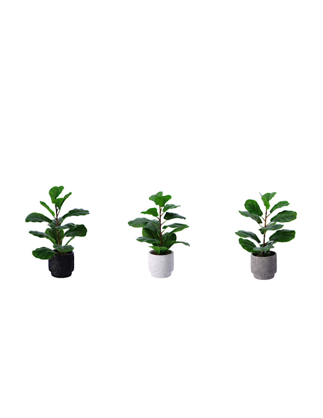 PIANTA 102175 CON VASO 13X42CM ASSORTITO