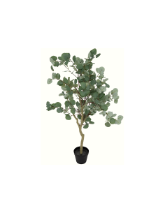 PIANTA 204276 EUCALIPTO 50X50X127CM CON VASO