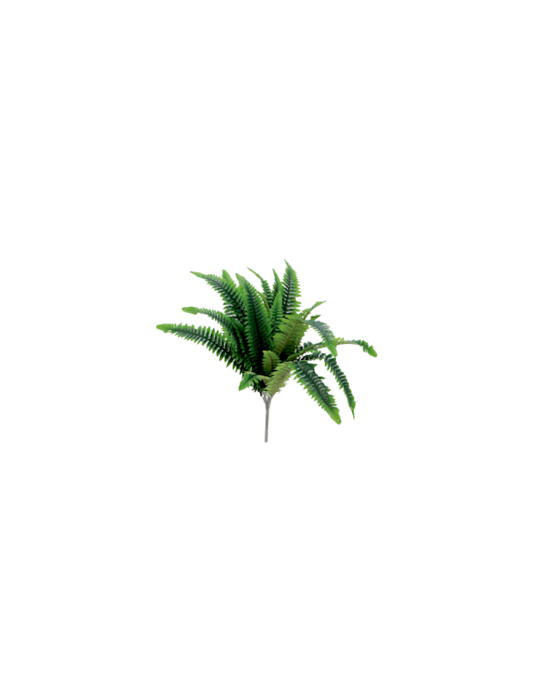 RAMOSCELLO 82504 FELCE 65CM