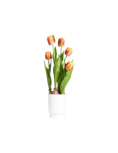 TULIPANO 28023 ARANCIONE CON VASO 13X58CM