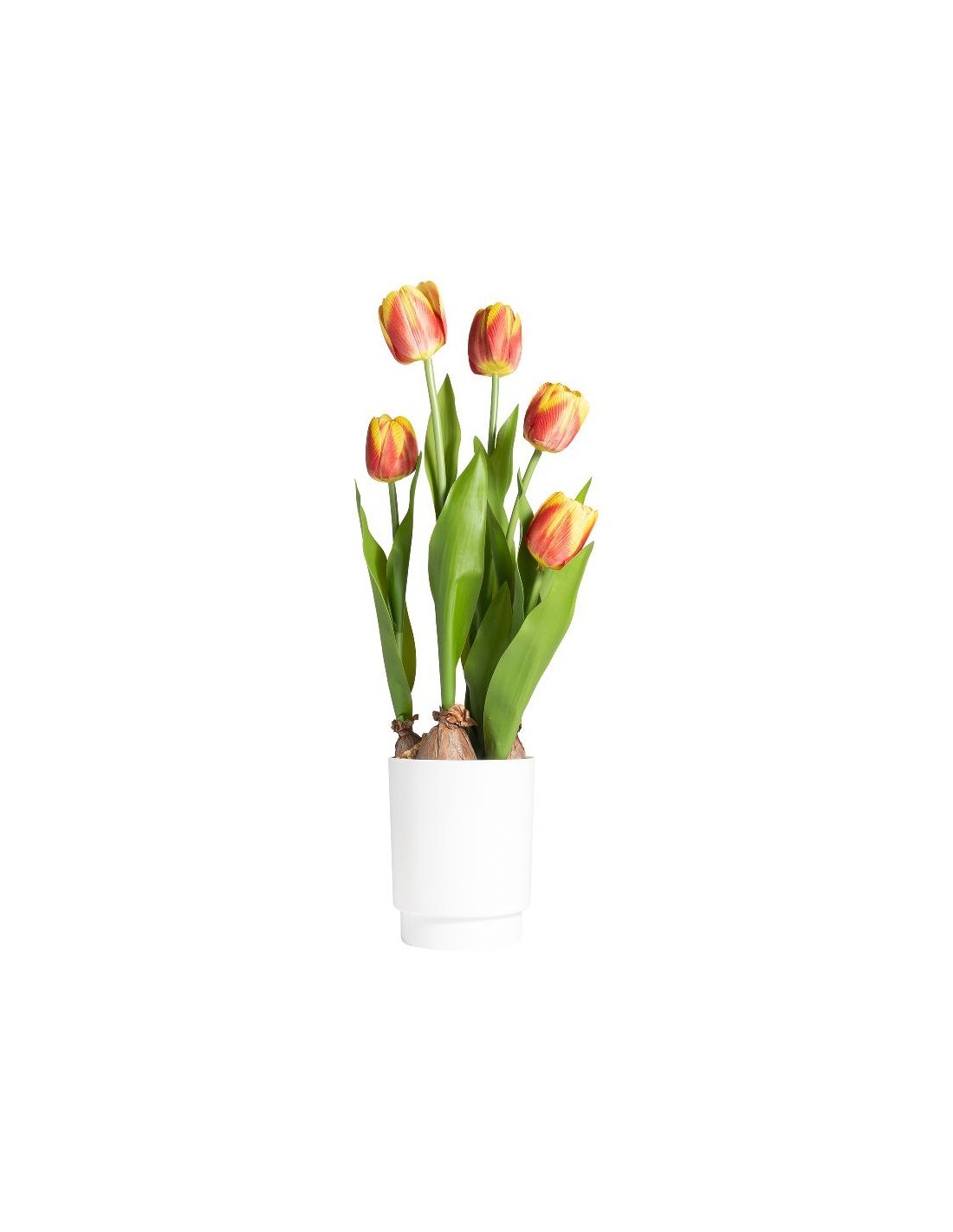 TULIPANO 28023 ARANCIONE CON VASO 13X58CM