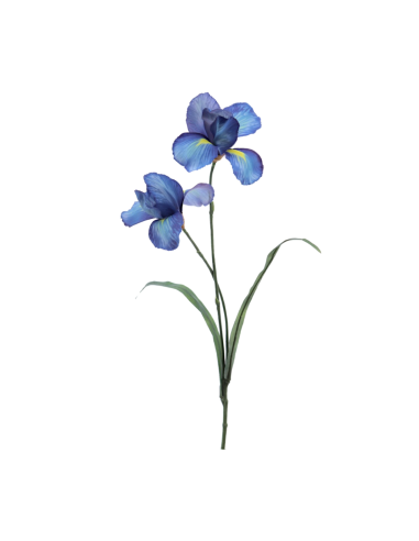 FIORE 1213-10 IRIS BLU