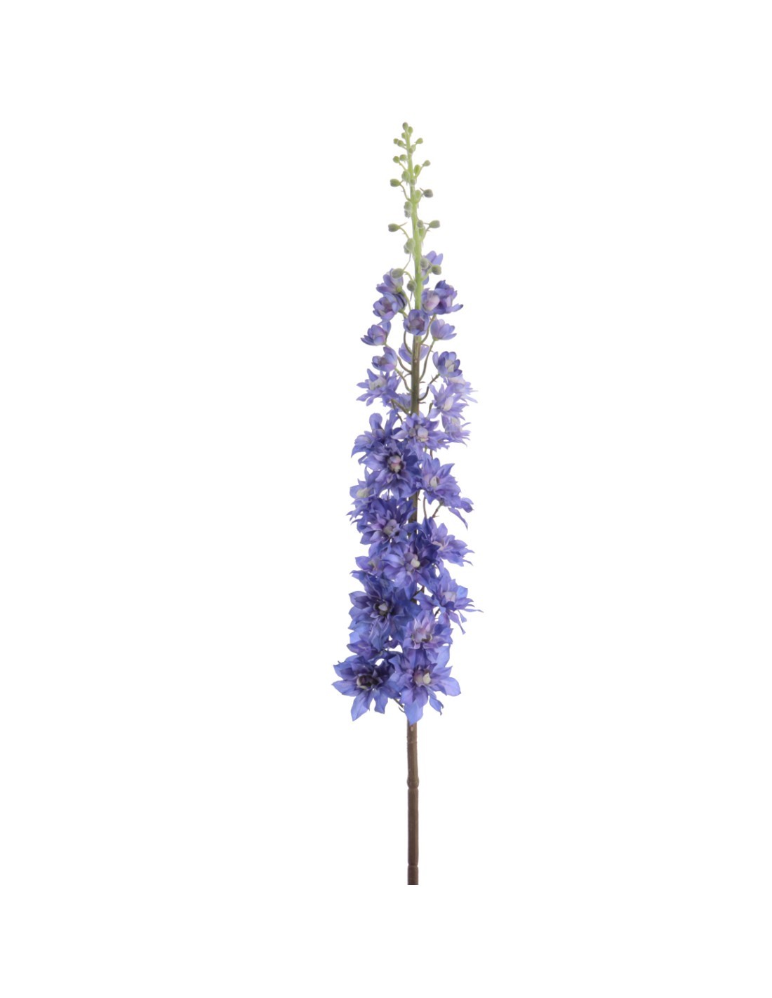 RAMO 1422-10 DELPHINIUM BLU