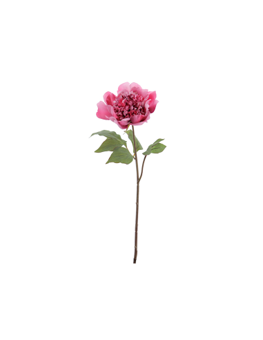 FIORE 1423-07 PEONIA FUCSIA