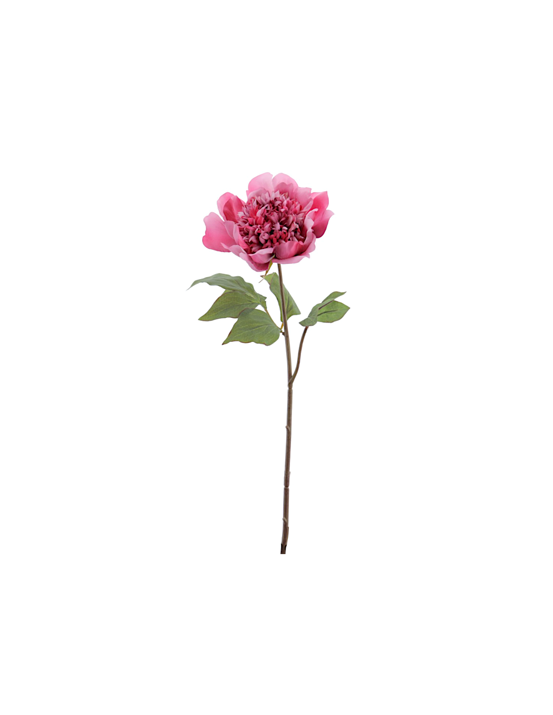 FIORE 1423-07 PEONIA FUCSIA