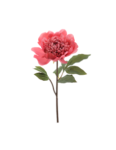FIORE 1423-24 PEONIA CORALLO