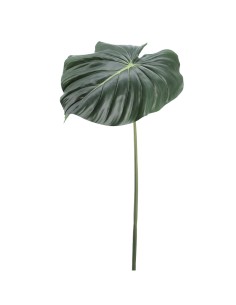 PIANTA 2741-09 FOGLIA ALOCASIA