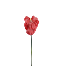 FIORE 2748-08 TULIPANO ROSSO