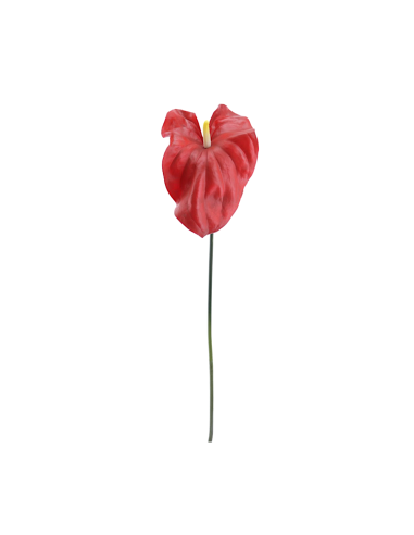 FIORE 2748-08 TULIPANO ROSSO
