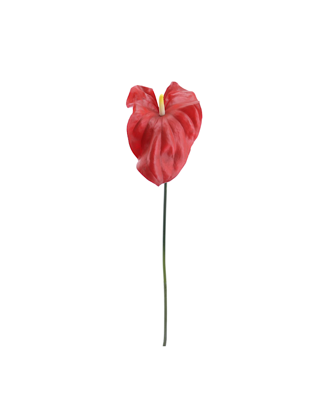 FIORE 2748-08 TULIPANO ROSSO