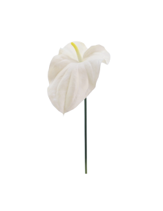 FIORE 2748-11 TULIPANO BIANCO