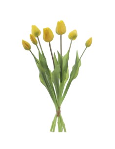 MAZZO 2752-02 TULIPANI GIALLI
