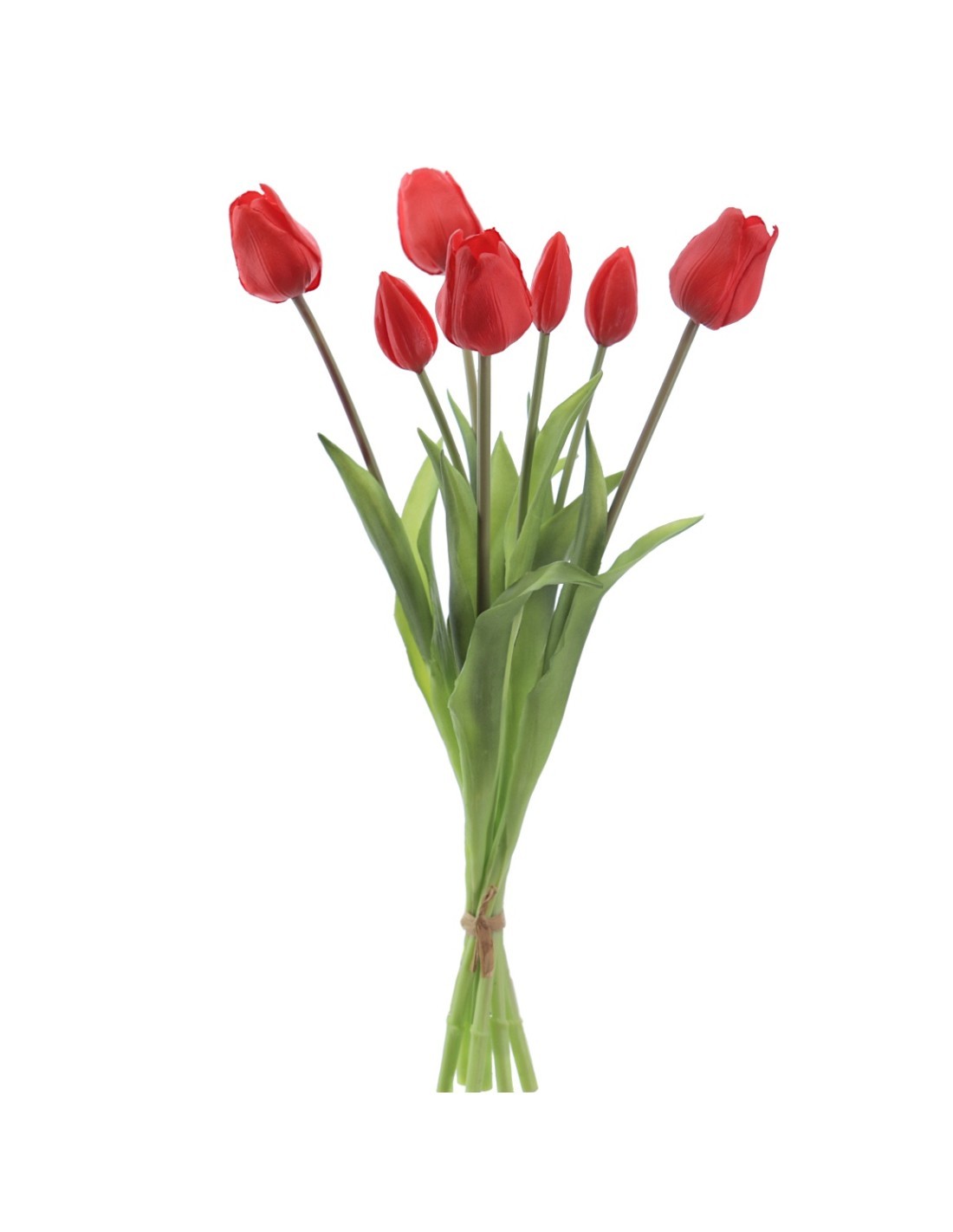 MAZZO 2752-08 TULIPANI ROSSI