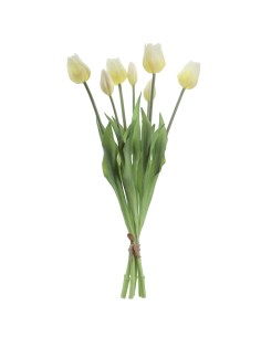 MAZZO 2752-11 TULIPANI BIANCHI