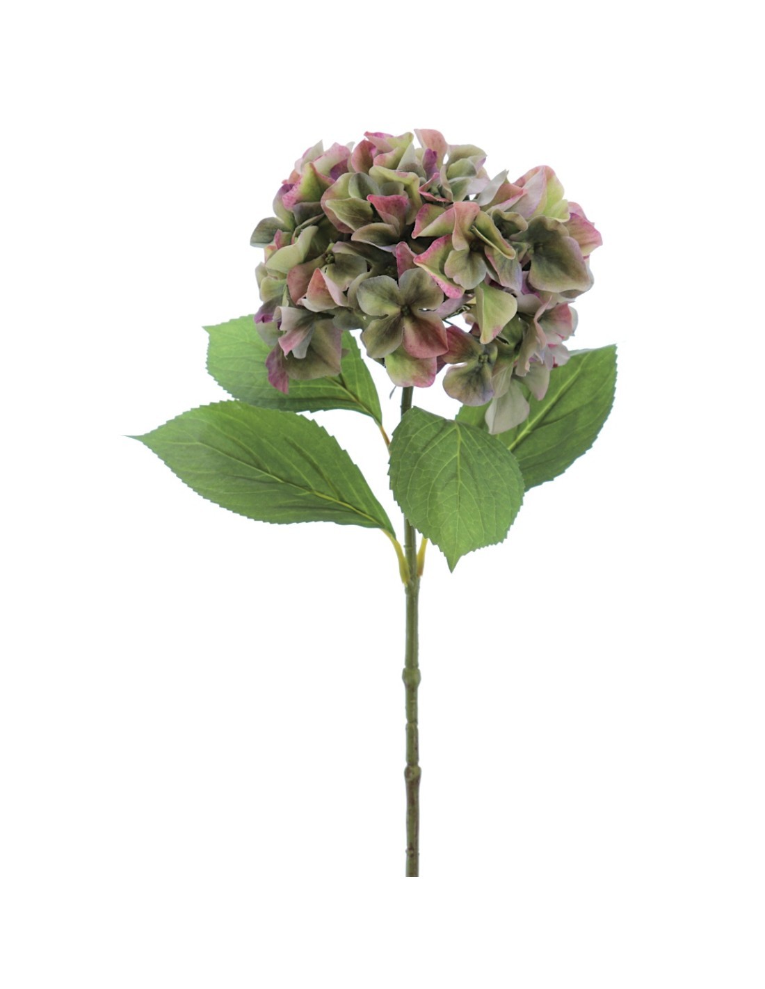 STELO 2764-09 ORTENSIA VERDE