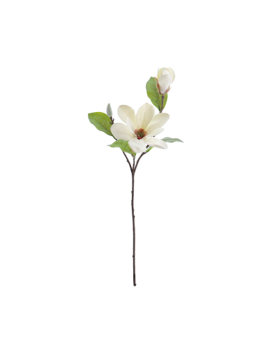 FIORE 4331-01 MAGNOLIA CREMA