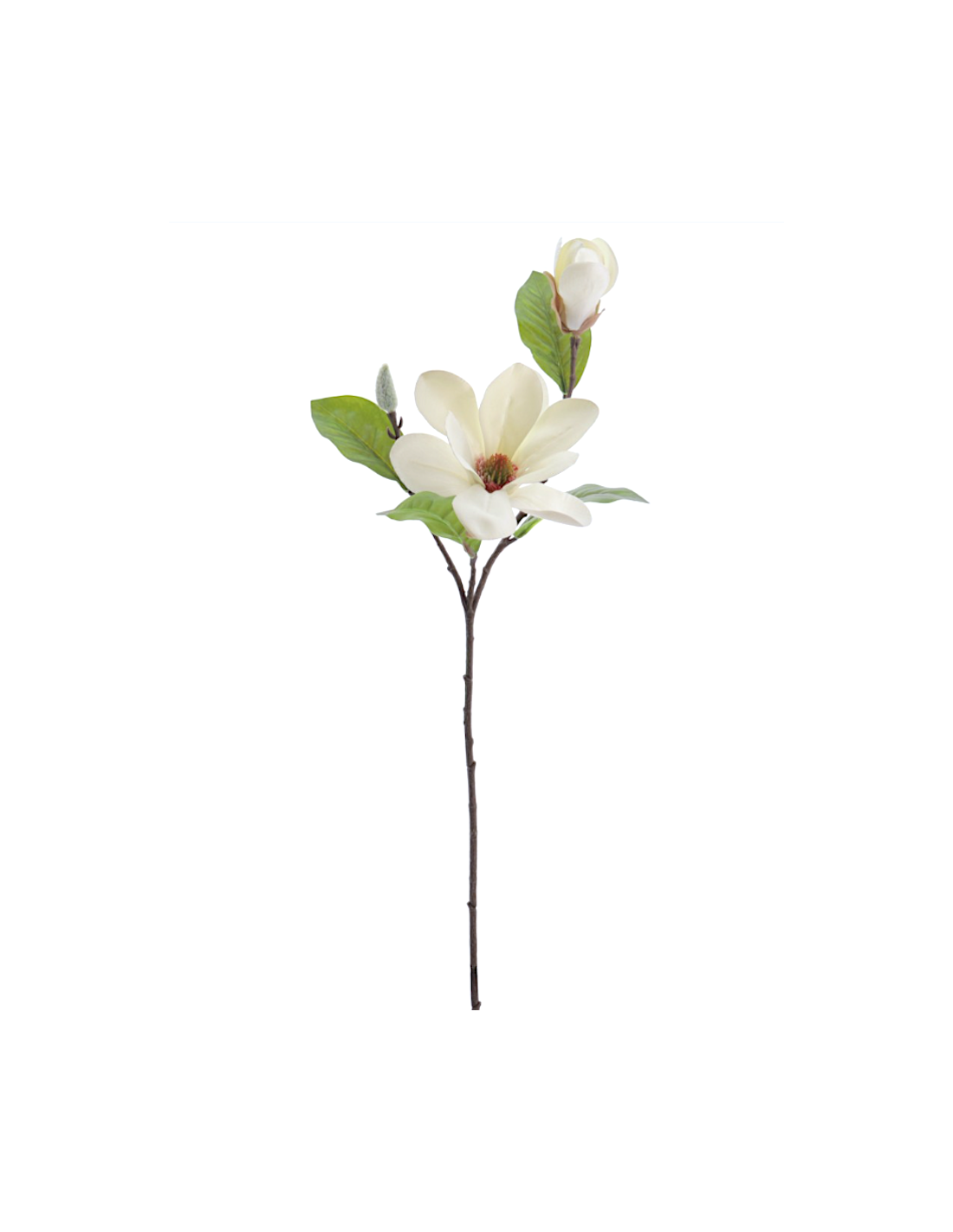 FIORE 4331-01 MAGNOLIA CREMA