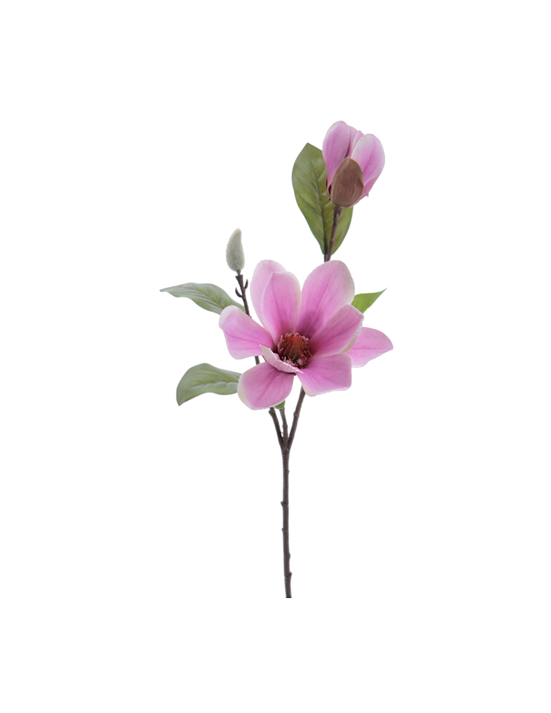 FIORE 4331-06 MAGNOLIA MALVA