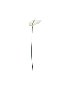 FIORE 6273-01 LISIANTHUS CREMA