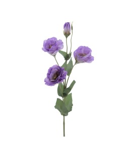 FIORE 6273-25 LISIANTHUS VIOLA