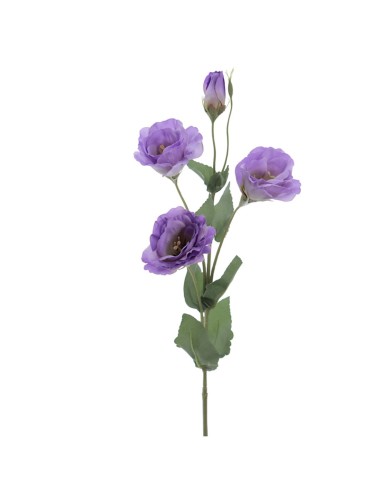 FIORE 6273-25 LISIANTHUS VIOLA
