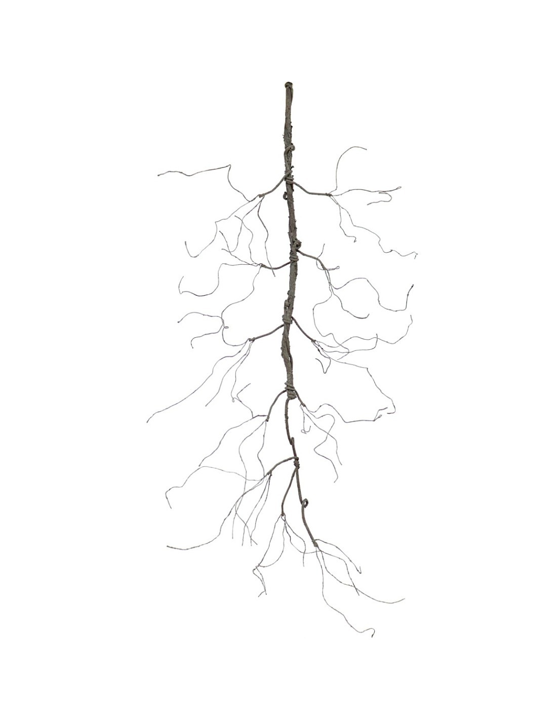 RAMO 6553-50 GHIRLANDA DI RADICI NATURALE