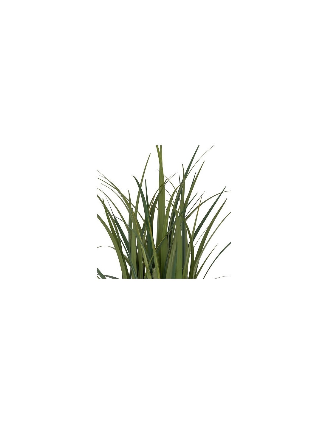 Mazzo lino Zya, alto 122 cm, verde, vaso fibre naturali, dimensioni 96x96x122 cm