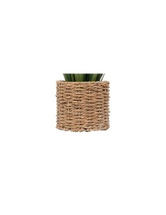 Mazzo lino Zya, alto 122 cm, verde, vaso fibre naturali, dimensioni 96x96x122 cm