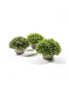 PIANTA VERDE 24851 PLASTICA 20X17CM CON VASO ASSORTITO