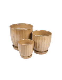 CACHEPOT 140697 3 MIS CERAMICA SENAPE CON SOTTOVASO 25X25CM