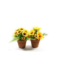 PIANTA 44446 GIRASOLI ASSORTITO 22X18CM VASO PLASTICA