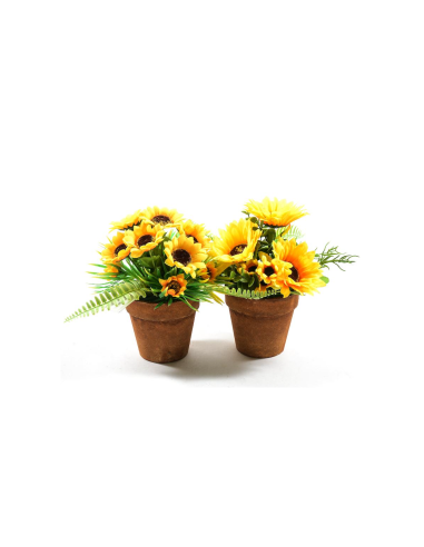 PIANTA 44446 GIRASOLI ASSORTITO 22X18CM VASO PLASTICA