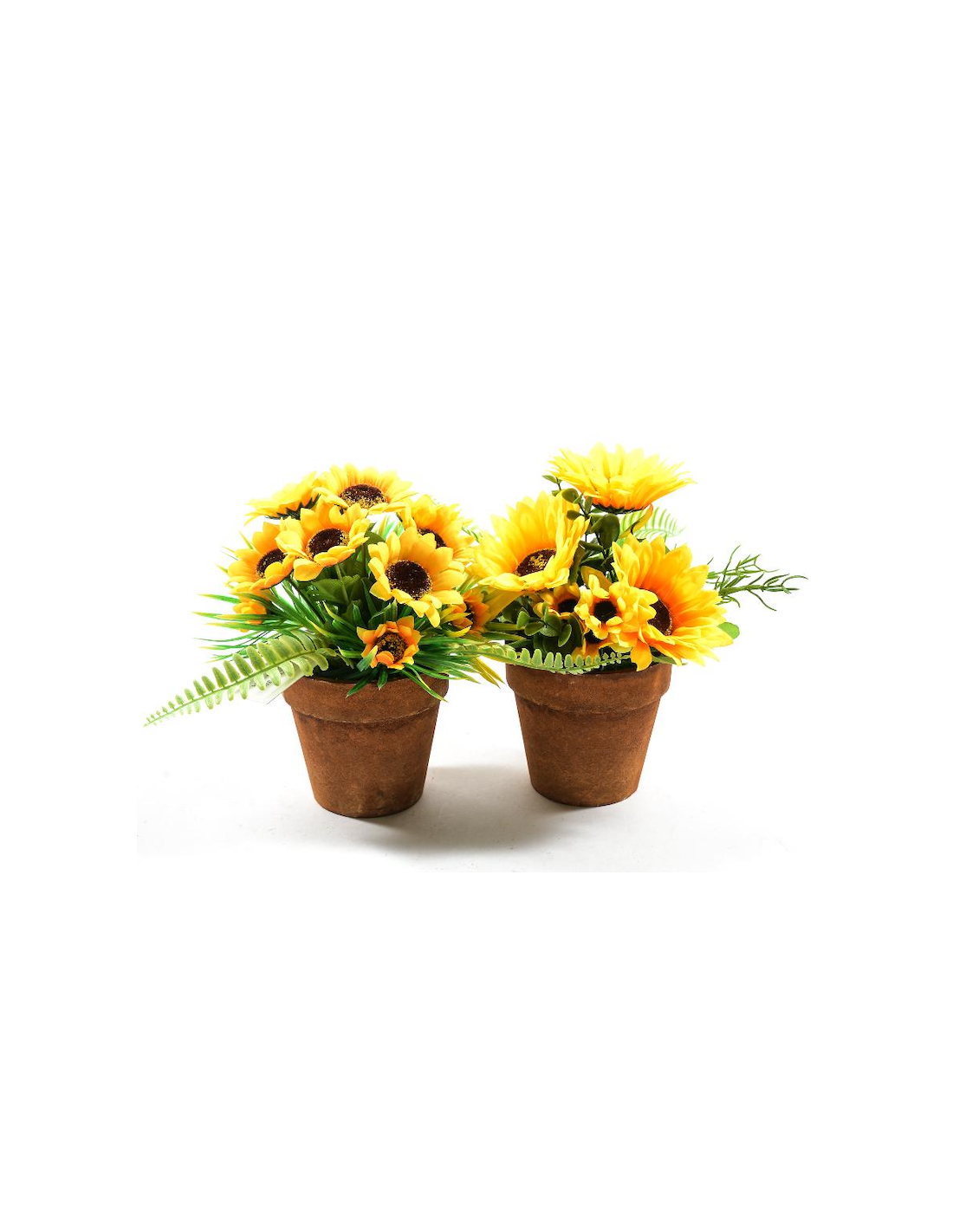 PIANTA 44446 GIRASOLI ASSORTITO 22X18CM VASO PLASTICA