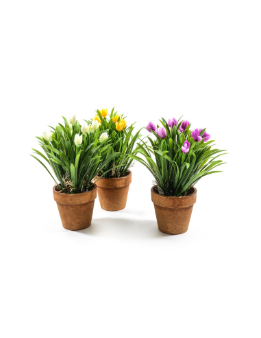PIANTA 44422 TULIPANI ASSORTITO 25X18CM VASO PLASTICA
