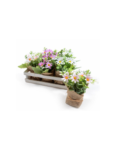 PIANTA 44484 MARGHERITE ASSORTITO H16CM VASETTO JUTA