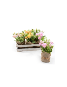 PIANTA 44521 ROSE ASSORTITO H16CM VASETTO JUTA