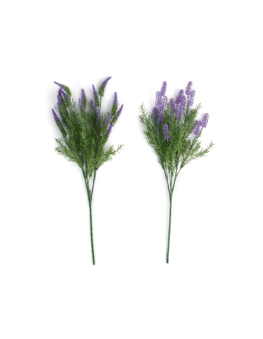PICK 22892 LAVANDA 70CM ASSORTITO
