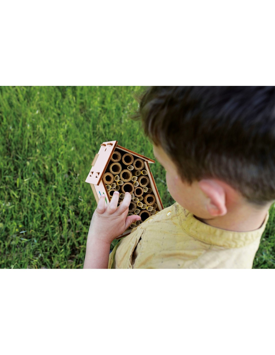 I'M GENIUS LABORATORIO DELLE API, KIT SCIENTIFICO EDUCATIVO