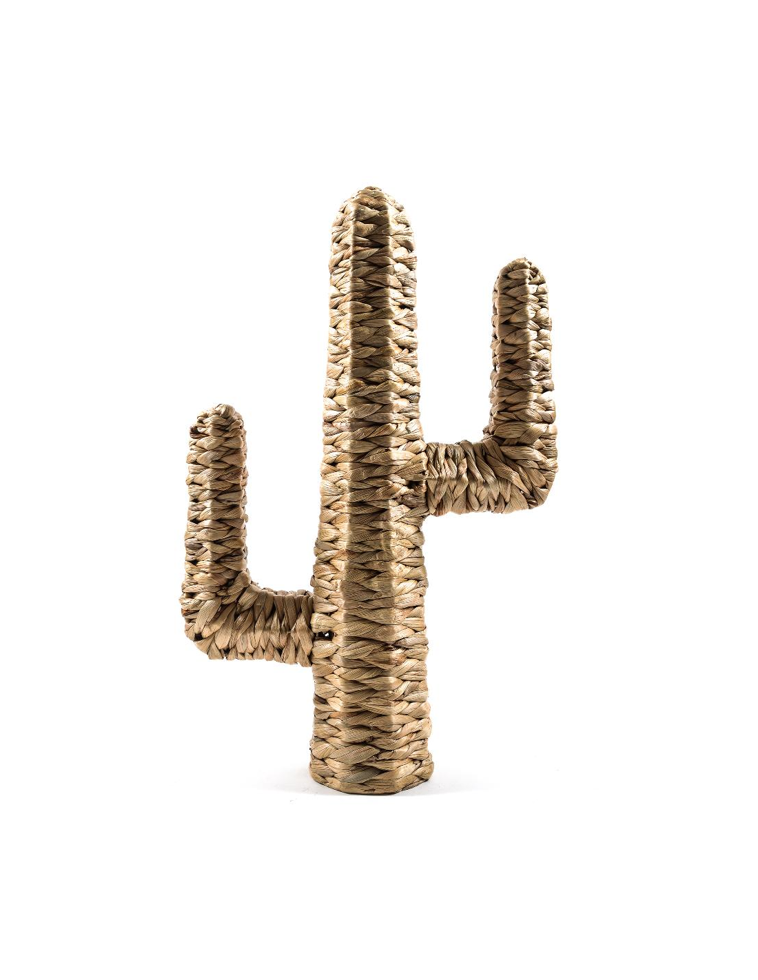 FIGURA CACTUS 35420 BANANO 51X17X80CM
